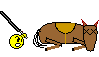 Dead Horse :horse :horse